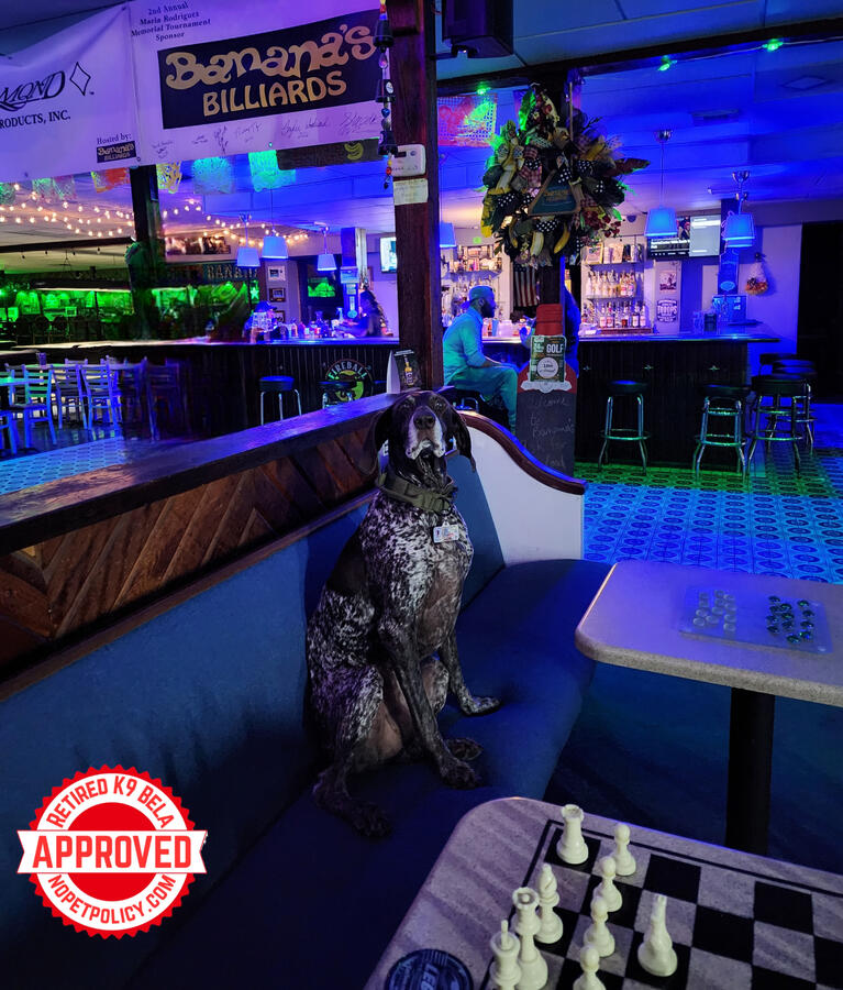 2003 San Pedro Ave, San Antonio, TX 78212