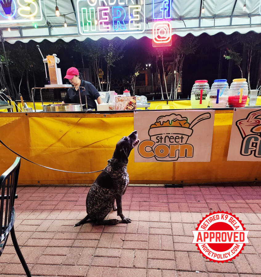 036 S Alamo St, San Antonio, TX 78210