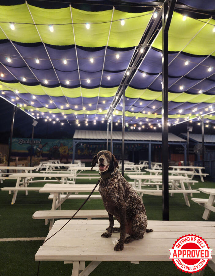 2411 Broadway, San Antonio, TX 78215