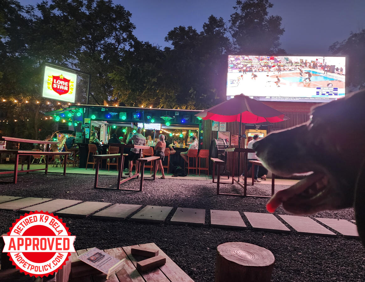 1123 Avenue B, San Antonio, TX 78215