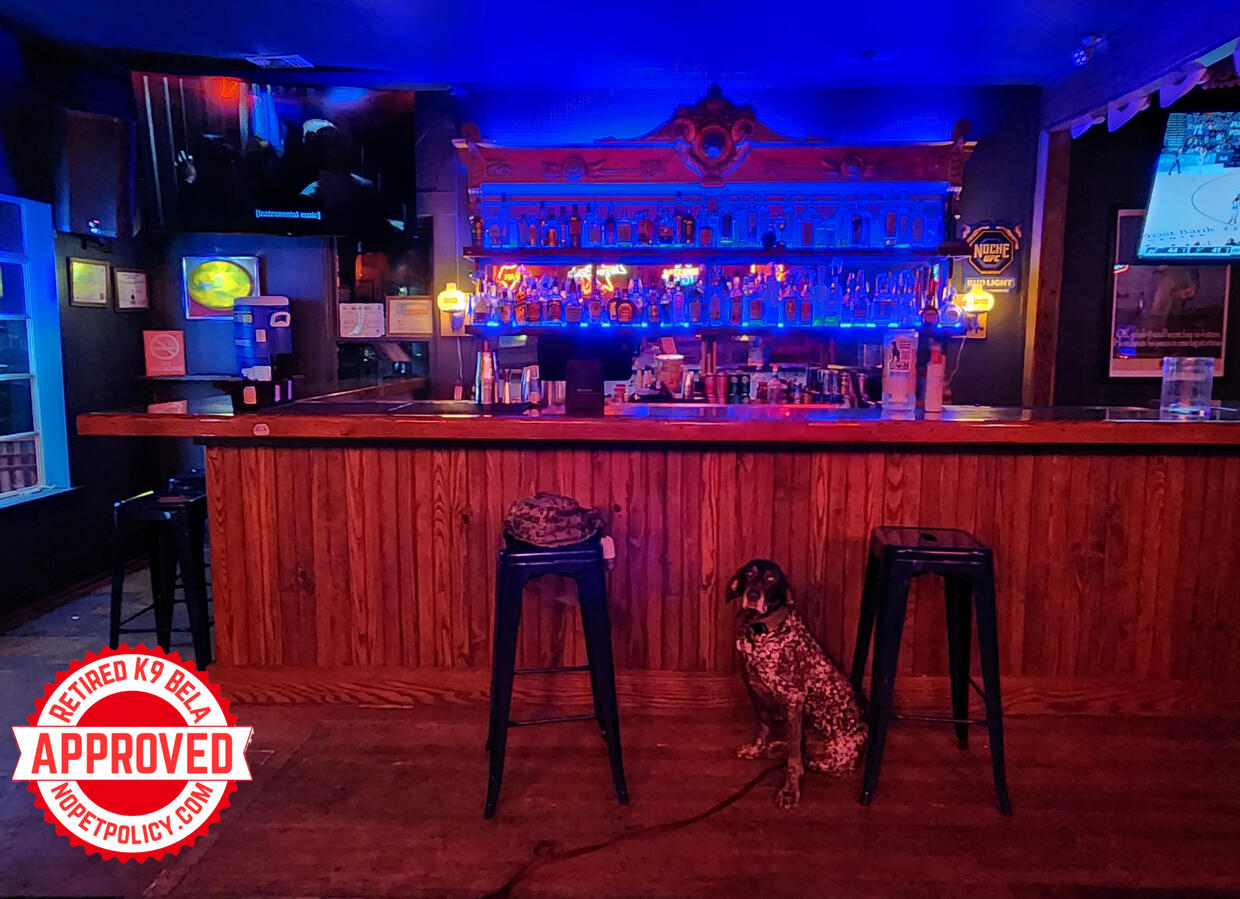 HIGH HORSE -ICE HOUSE-