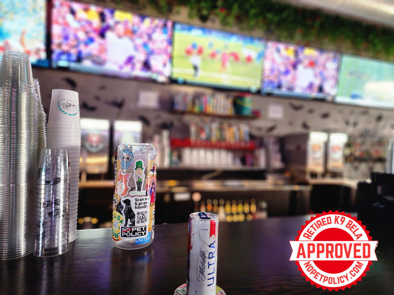 317 W Jones Ave, San Antonio, TX 78215