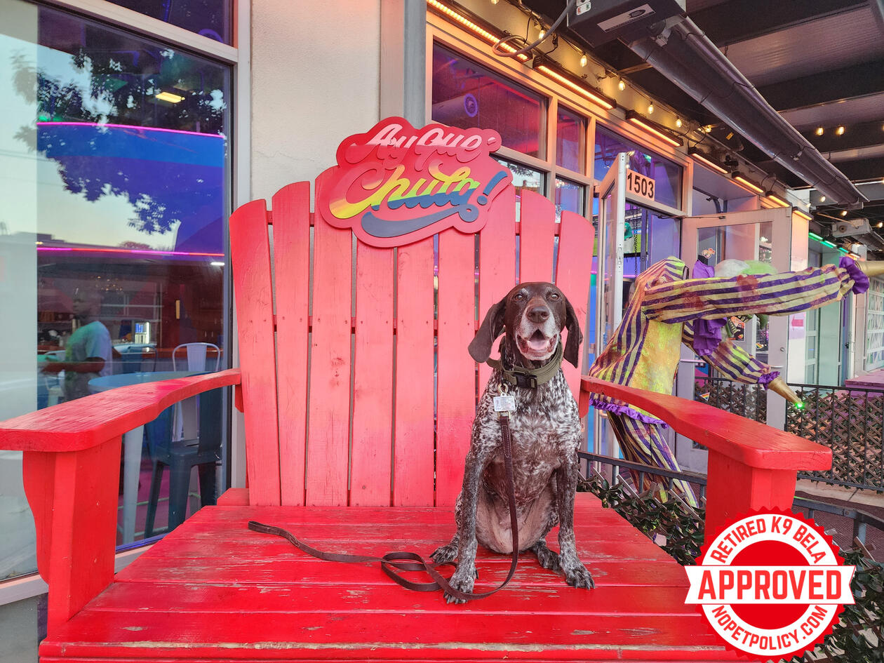 1503 N Main Ave, San Antonio, TX 78212