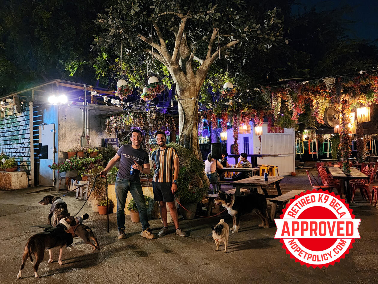 103 E Jones Ave, San Antonio, TX 78215