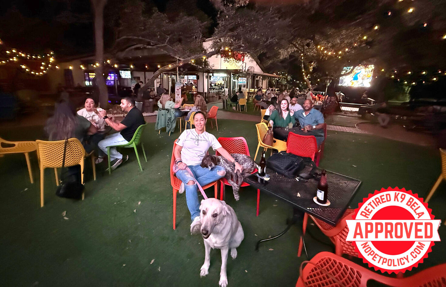 606 W Afton Oaks Blvd, San Antonio, TX 78232